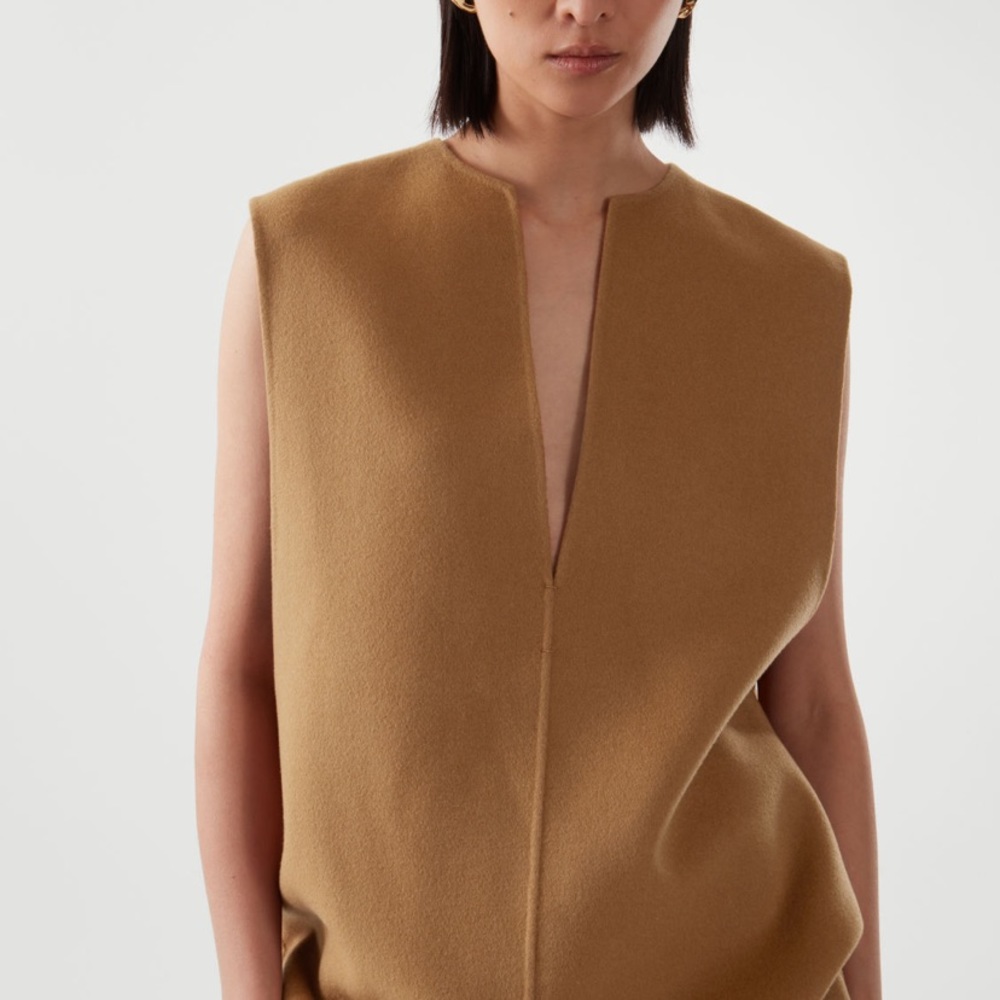 ISO: Deep v-neck sleeveless top from COS